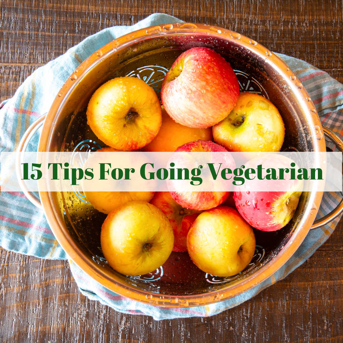 how to go vegetarian - Article 2